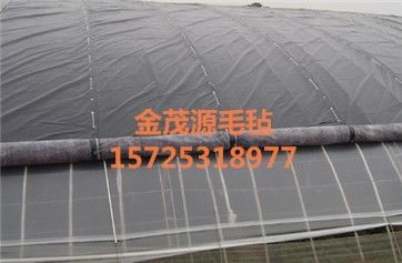 山东金茂源 大棚防寒保温棉被与道路建设的双重守护者