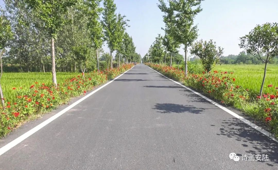 道路通 百业兴——辛榨乡获评湖北省“四好农村路”示范乡镇