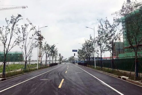 金汇市民家门口的道路建设改造 工程管理如何实现高效与惠民双赢