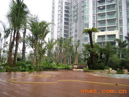 深圳市巴比伦环境园林艺术 园林景观建设工程与产品展厅的工程管理实践