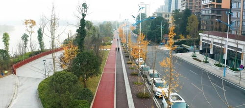 乐山高新区36条道路建设扎实推进 工程管理全面升级